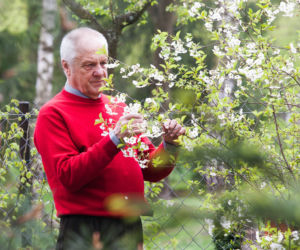 STEFAN NIESIOŁOWSKI.