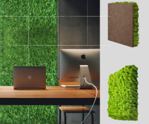 Green Decor