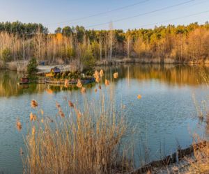 Gdzie na ryby w świętokrzyskim? Zbiornik Bilówka to coś więcej niż wędkarstwo