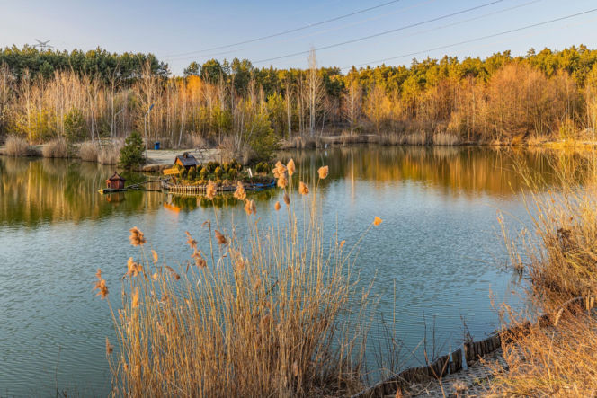 Gdzie na ryby w świętokrzyskim? Zbiornik Bilówka to coś więcej niż wędkarstwo