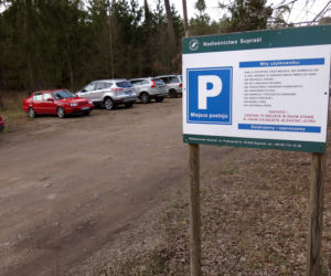 Parking leśny w okolicach Supraśla