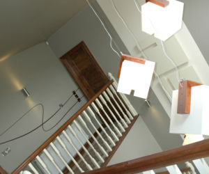 Zdjęcie 2445