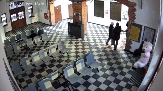 Kradzież pluszowego misia w Szczecinku