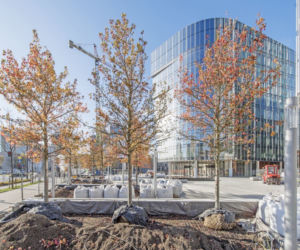 Mennica Legacy Tower - zagospodarowanie pasażu miejskiego przed i pomiędzy budynkami