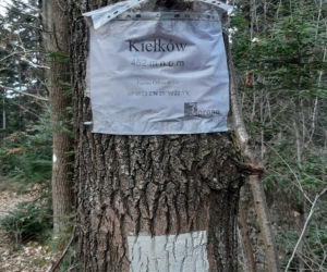 W 54 godziny zdobyli 28 szczytów Korony Gór Świętokrzyskich