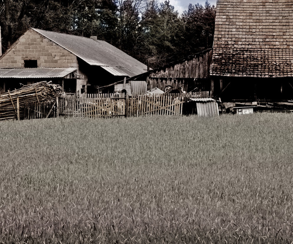 Zginął, gdy jego bliscy poszli do domu! Maszyna wciągnęła 55-latka pod Ciechanowem