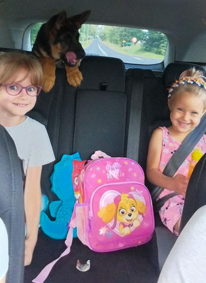 Zabrali dzieciom psa jak rzecz