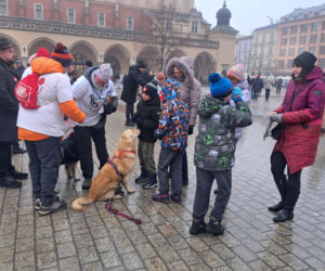 34. finał WOŚP w Krakowie. Golden Retrievery na Rynku Głównym