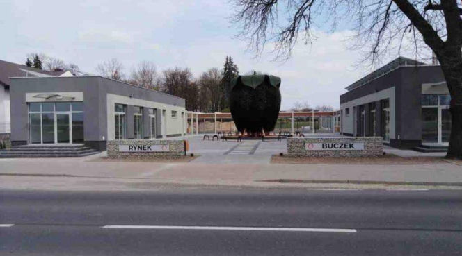 Tężnia solankowa Buczek