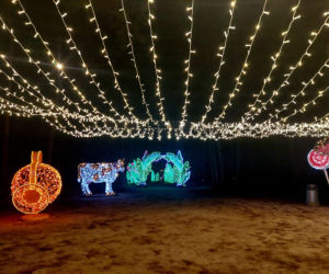 Lumina Park Bydgoszcz