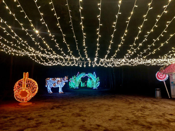 Lumina Park Bydgoszcz