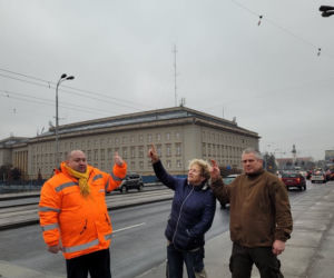 MPK Wrocław pomaga łabędziom