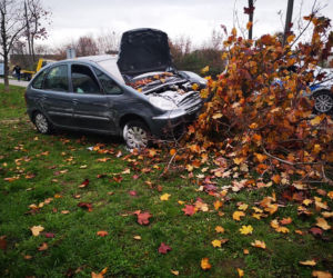 O krok od tragedii w Bydgoszczy! Kierowca zasłabł i uderzył w drzewo! [ZDJĘCIA] 