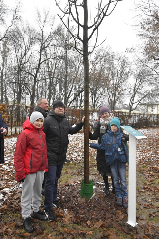 Powstańcy zapuścili korzenie. 20 drzew dla bohaterów w parku na Woli