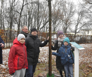 Powstańcy zapuścili korzenie. 20 drzew dla bohaterów w parku na Woli