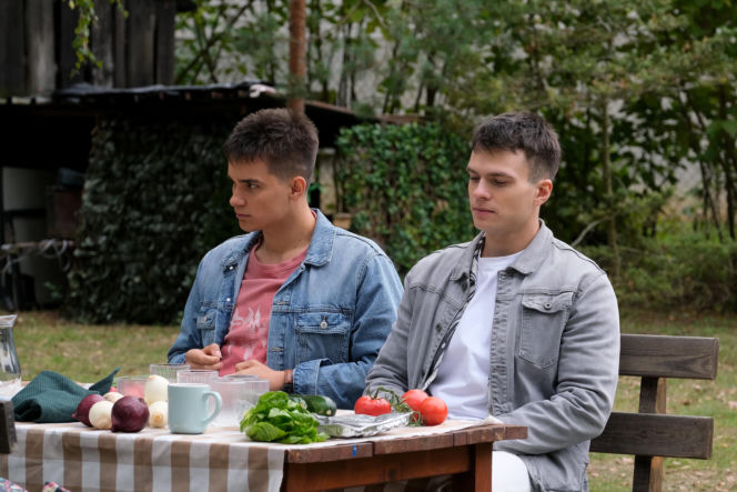 "M jak miłość", odcinek 1910: Janek odkrywa niepokojącą prawdę o narzeczonym Eweliny i prosi Barbarę o pomoc