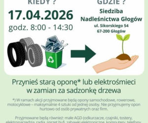Oponka za sadzonkę wraca do Głogowa. Sprawdź szczegóły