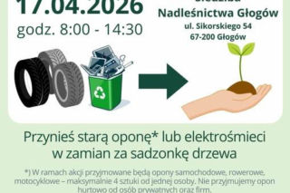 Oponka za sadzonkę wraca do Głogowa. Sprawdź szczegóły