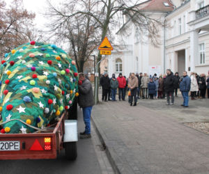 Dziargana choinka w Kościanie