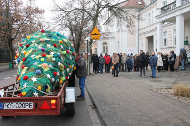 Dziargana choinka w Kościanie