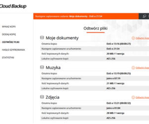 Bezpieczne przechowywanie plików w chmurze. Cloud Backup pomoże zabezpieczyć dane Twojej firmy