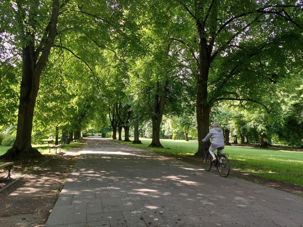 Park Miejski w Zamościu