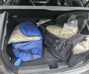 Policja przejęła 49 kg marihuany