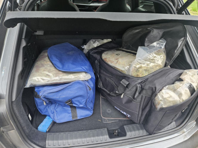 Policja przejęła 49 kg marihuany