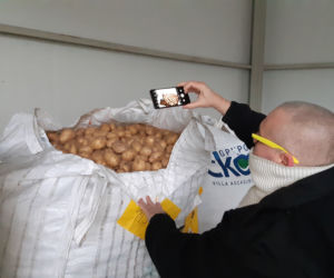 22 tony warzyw dla potrzebujących