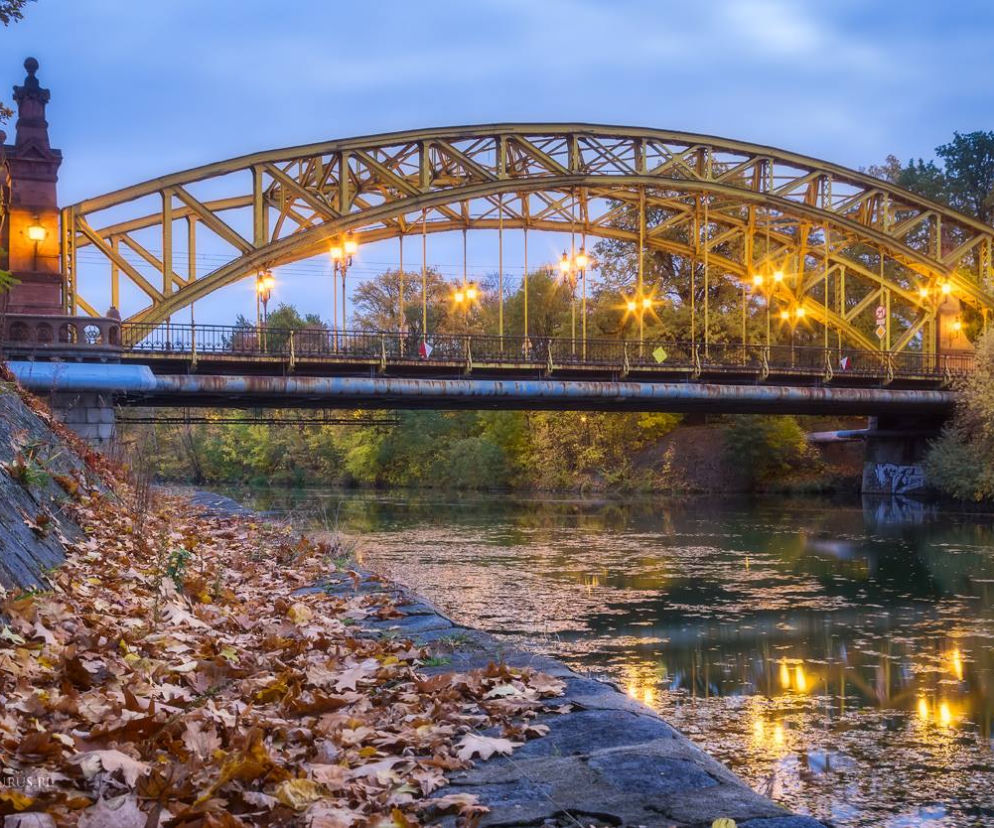 Most Zwierzyniecki łączy centrum Wrocławia z osiedlami Dąbie, Biskupin, Sępolno i Bartoszowice