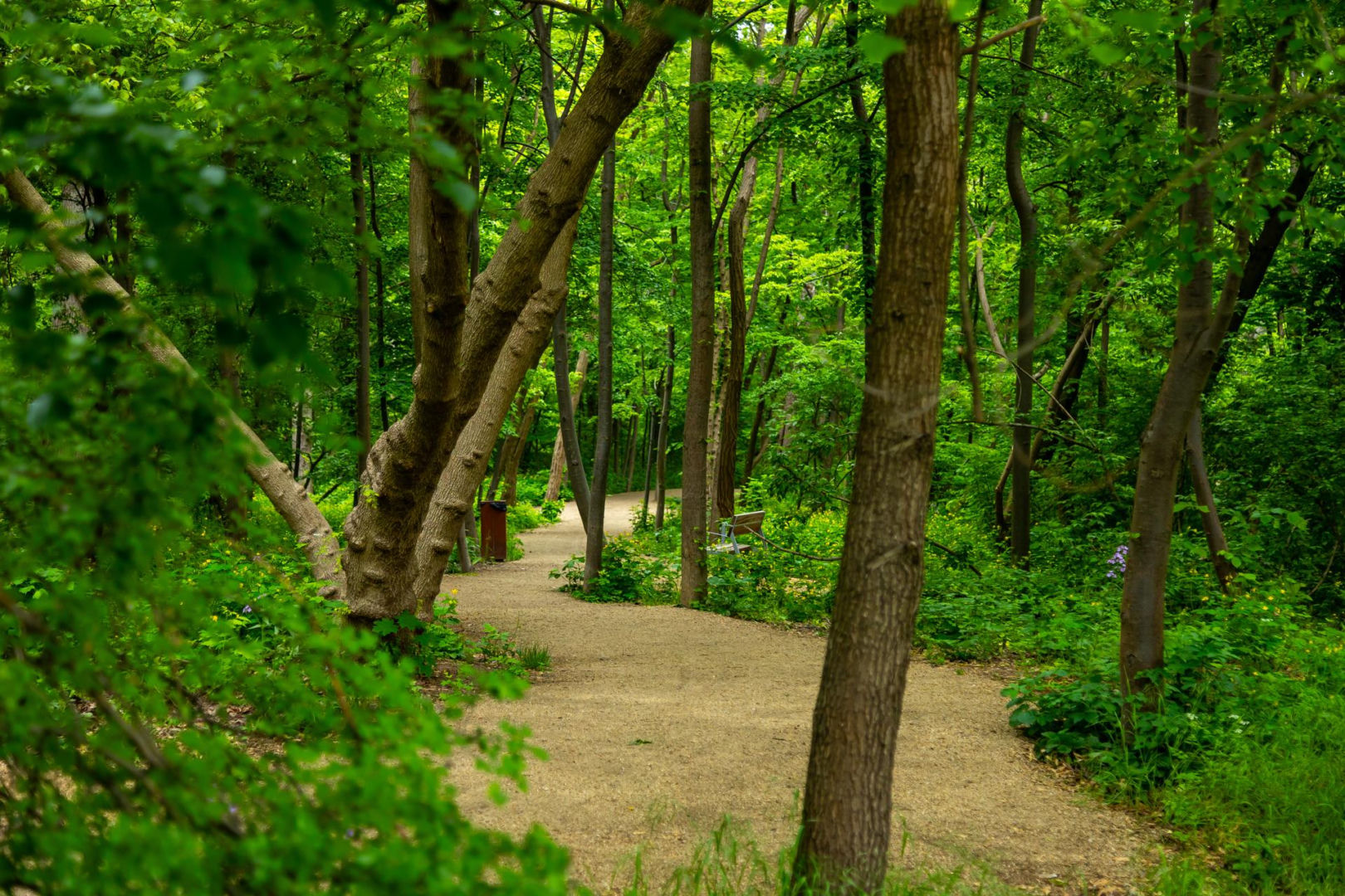 Park Żerański w Warszawie