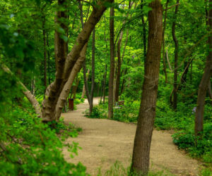 Park Żerański w Warszawie