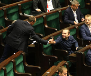 Liroy na polskiej scenie politycznej