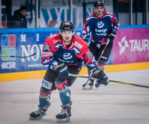 Tauron Podhale Nowy Targ – KH Energa Toruń 5:2, zdjęcia z Nowego Targu