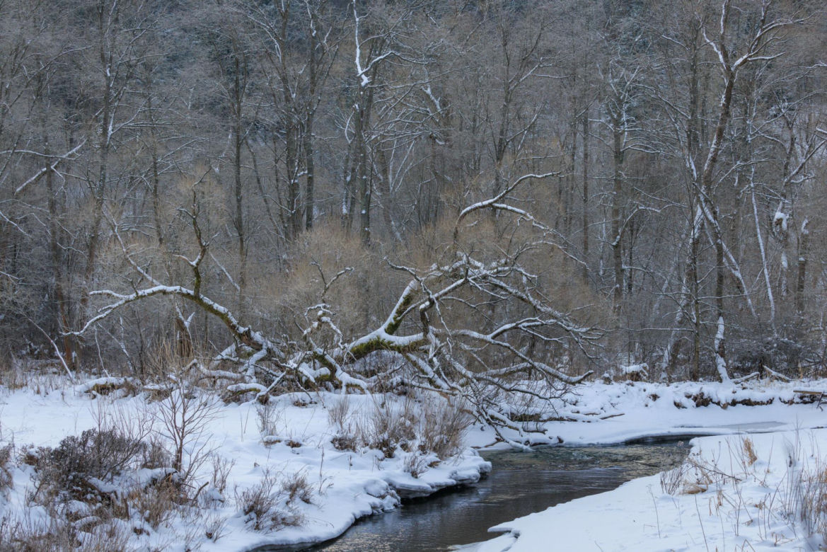Beskid Niski