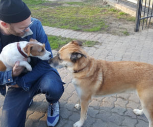Zobaczcie Jankesa i Jimmiego w akcji. 