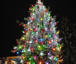 Choinka miejska Siedlce