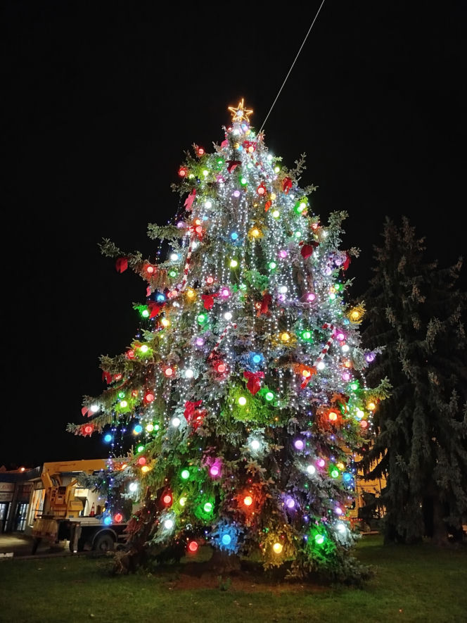 Choinka miejska Siedlce