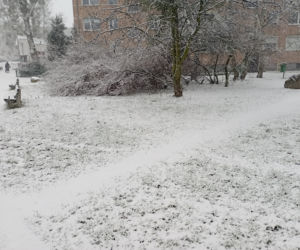 Zima wróciła do Poznania (21.01.2023)