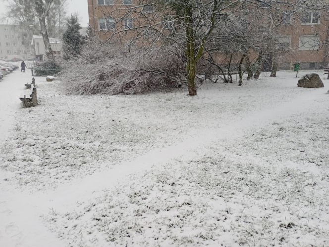 Zima wróciła do Poznania (21.01.2023)
