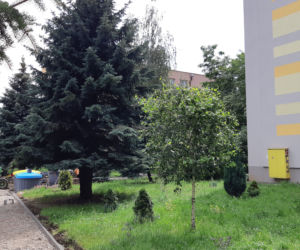 Śmietniki zbyt blisko bloków