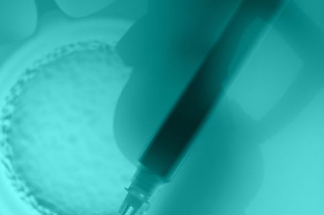In vitro: ostatnia deska ratunku