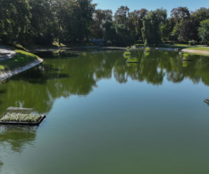 Nowa fontanna, ogrody deszczowe i czystsza woda. Tak ma wyglądać staw w Parku Miejskim w Kielcach