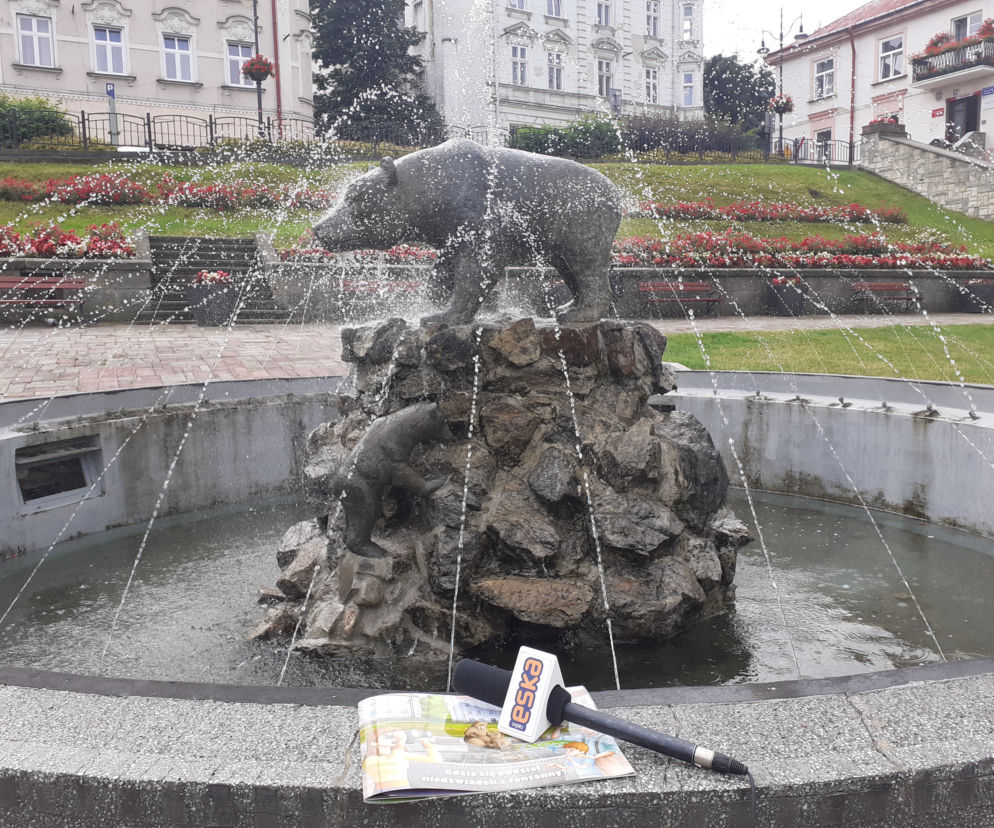 niedźwiadek