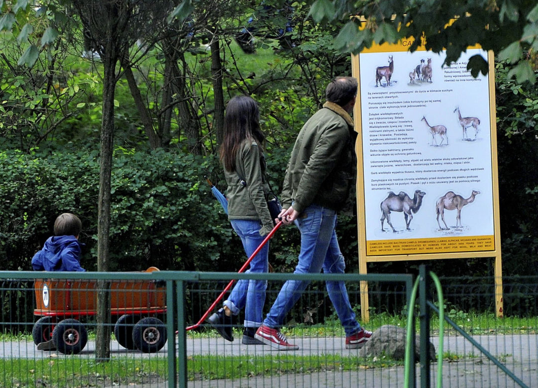 Marta Kaczyńska z mężem i synem w ZOO