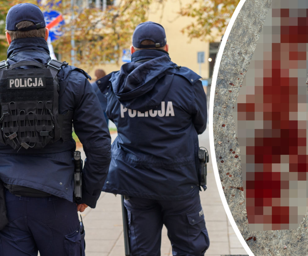 Ślady krwi na Rynku Nowomiejskim. Policjanci z Torunia wiedzieli, co z nimi zrobić