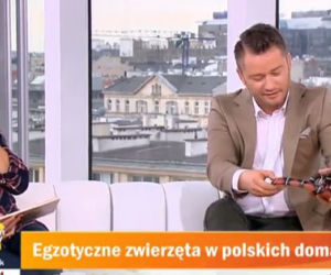 Jarosław Kuźniar