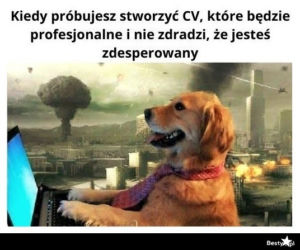 Memy o pracy