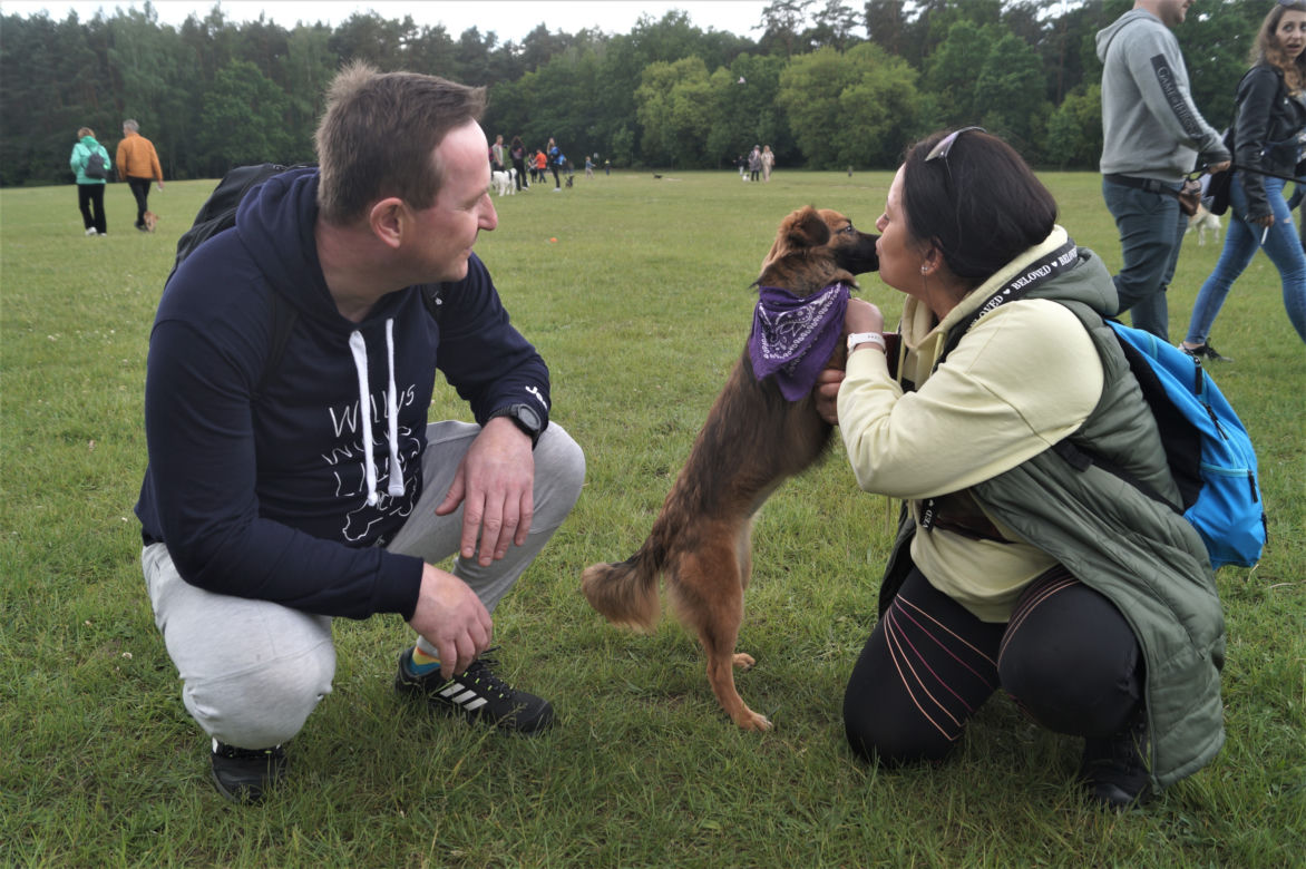 Piknik Dobrych Psów i Ludzi w Myślęcinku [ZDJĘCIA]
