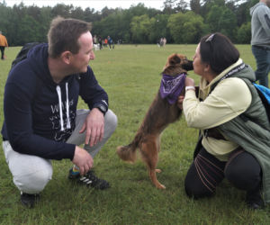 Piknik Dobrych Psów i Ludzi w Myślęcinku [ZDJĘCIA]